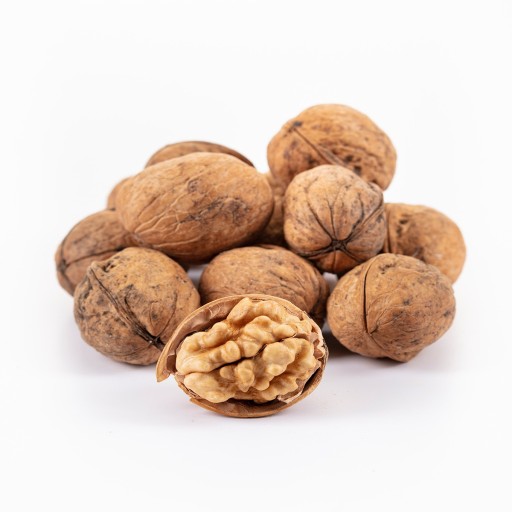  عکس گردوی کاغذی